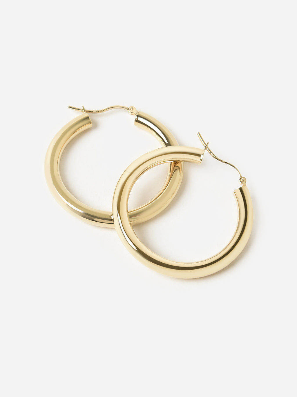 S. Bell Women's Hollow Hoop Earrings - Saint Bernard