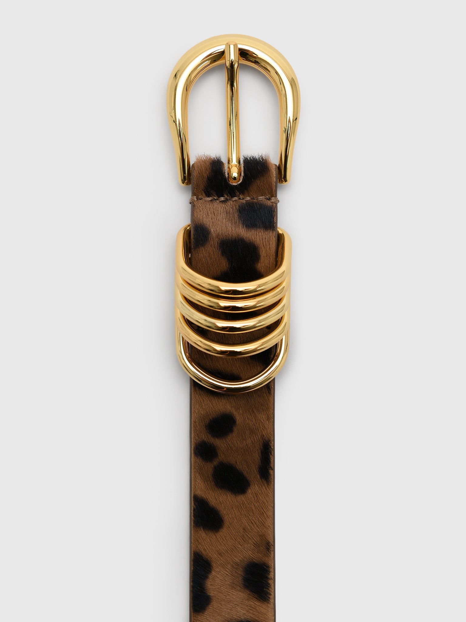 Dehanche Women's Hollyhock Animal Belt - Saint Bernard