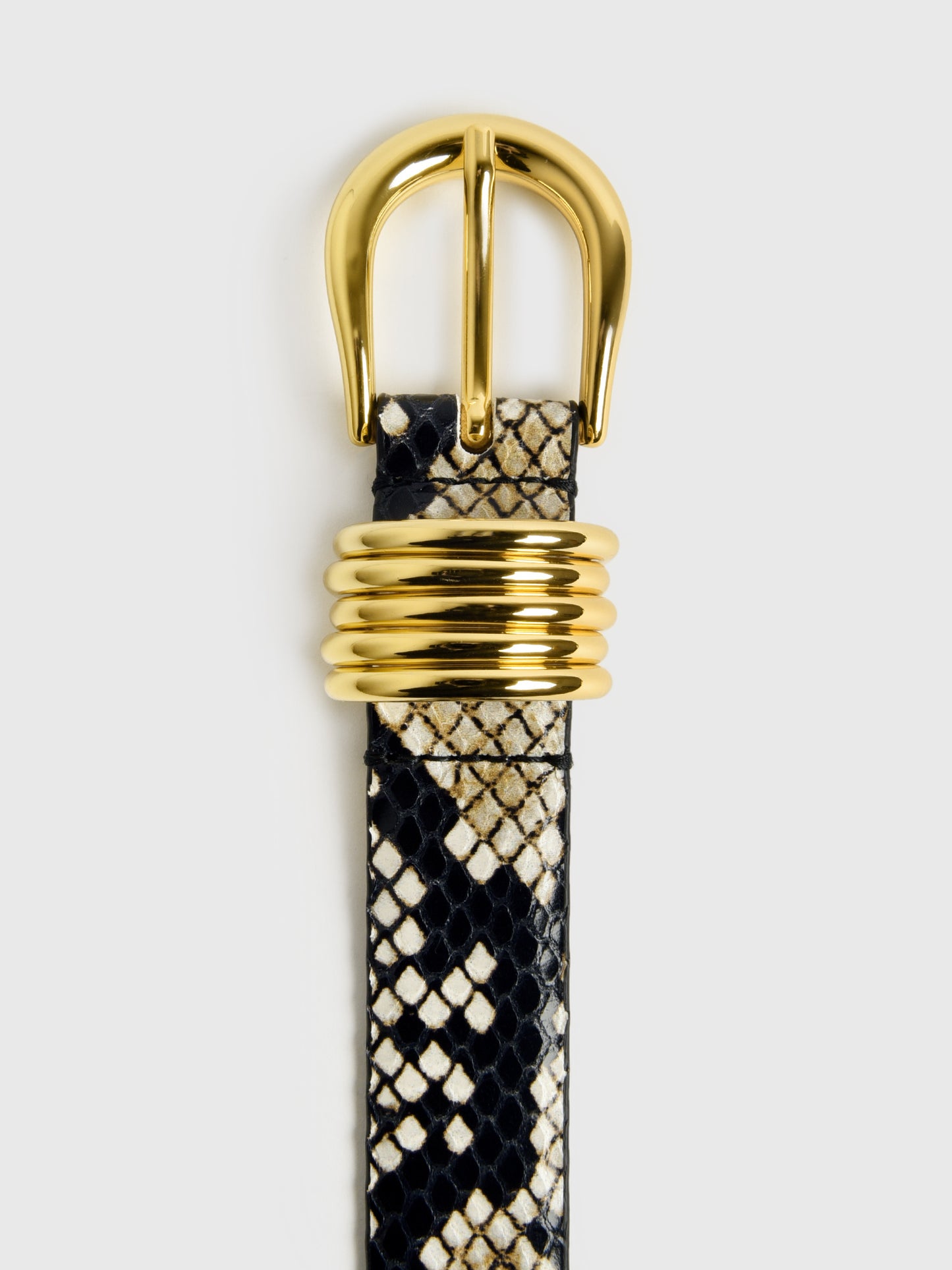 HOLLYHOCKxSNAKEGOLD-alt1