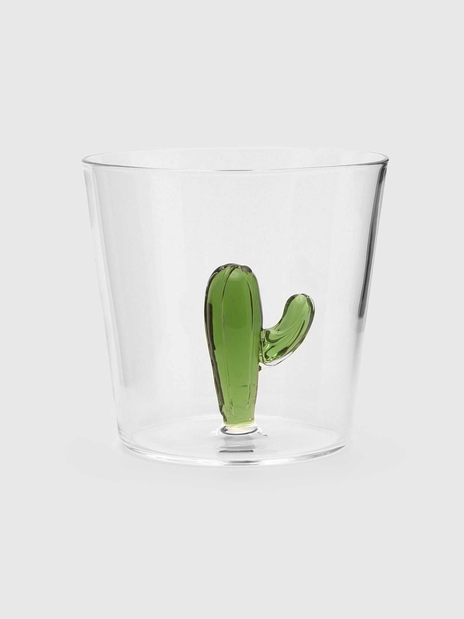 Ichendorf Desert Plants Tumbler - Saint Bernard