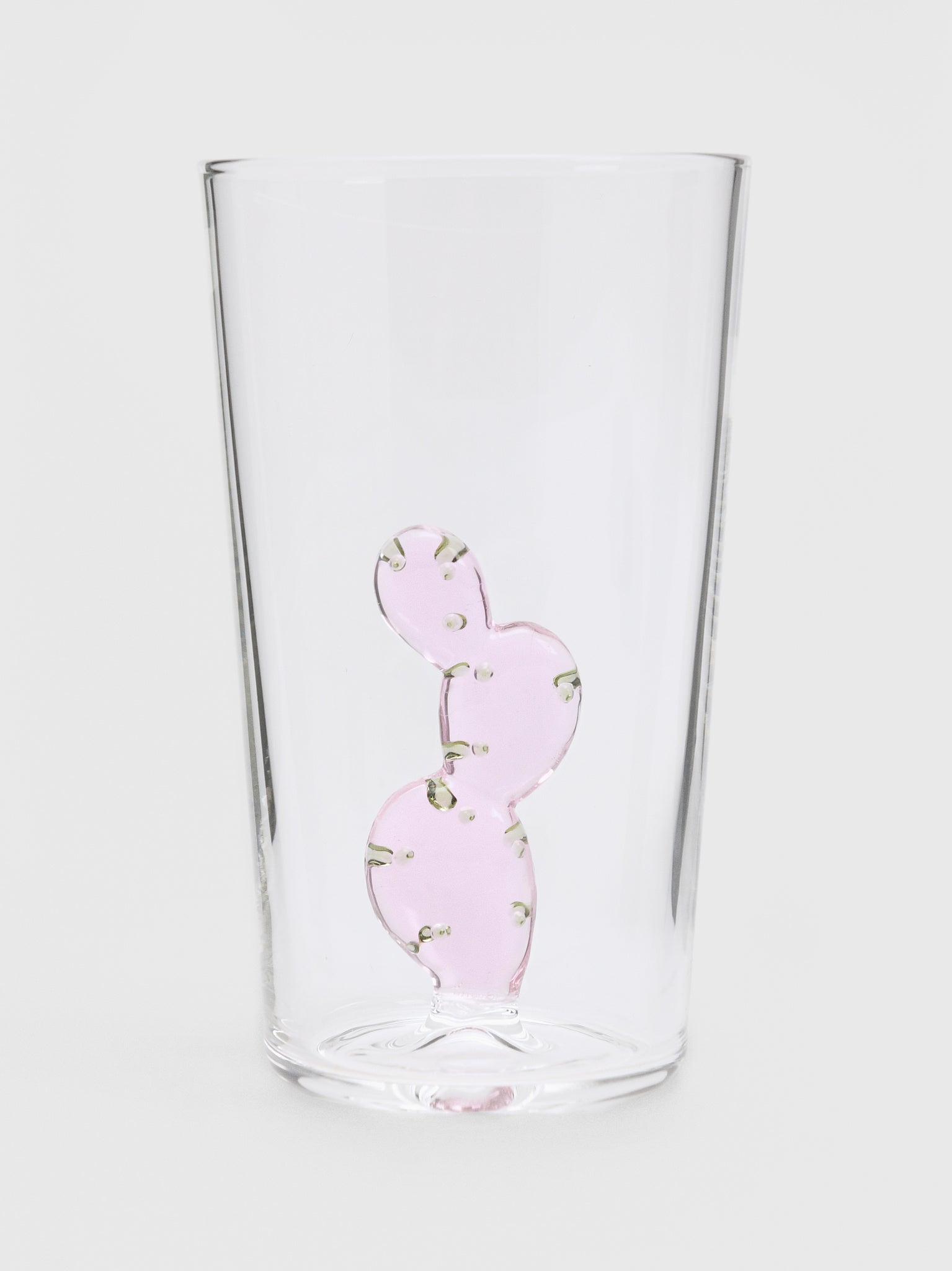 Ichendorf Desert Plants Longdrink Tumbler - Saint Bernard