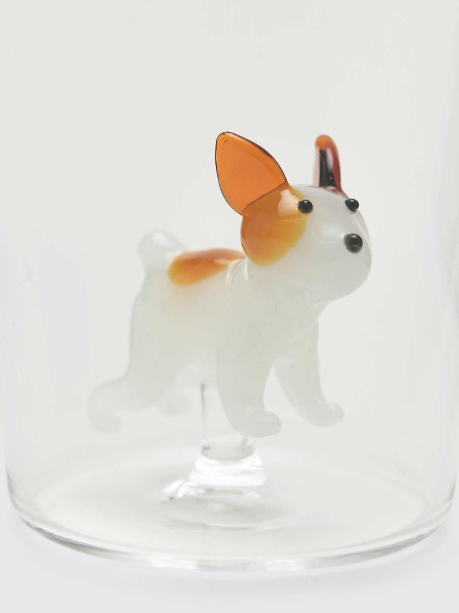 Ichendorf Dogs Tumbler - Saint Bernard