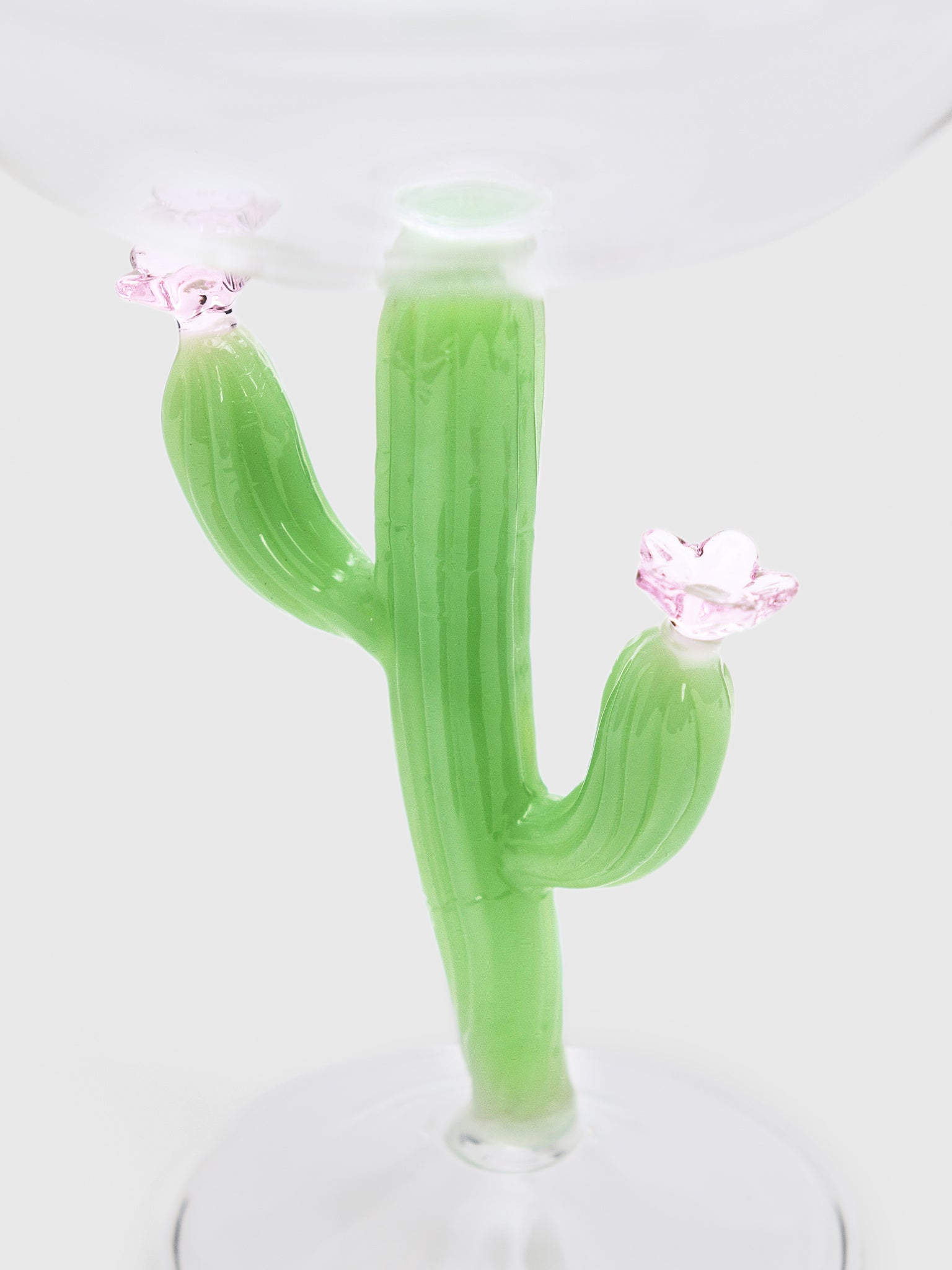 Ichendorf Desert Plants Champagne Bowl - Saint Bernard