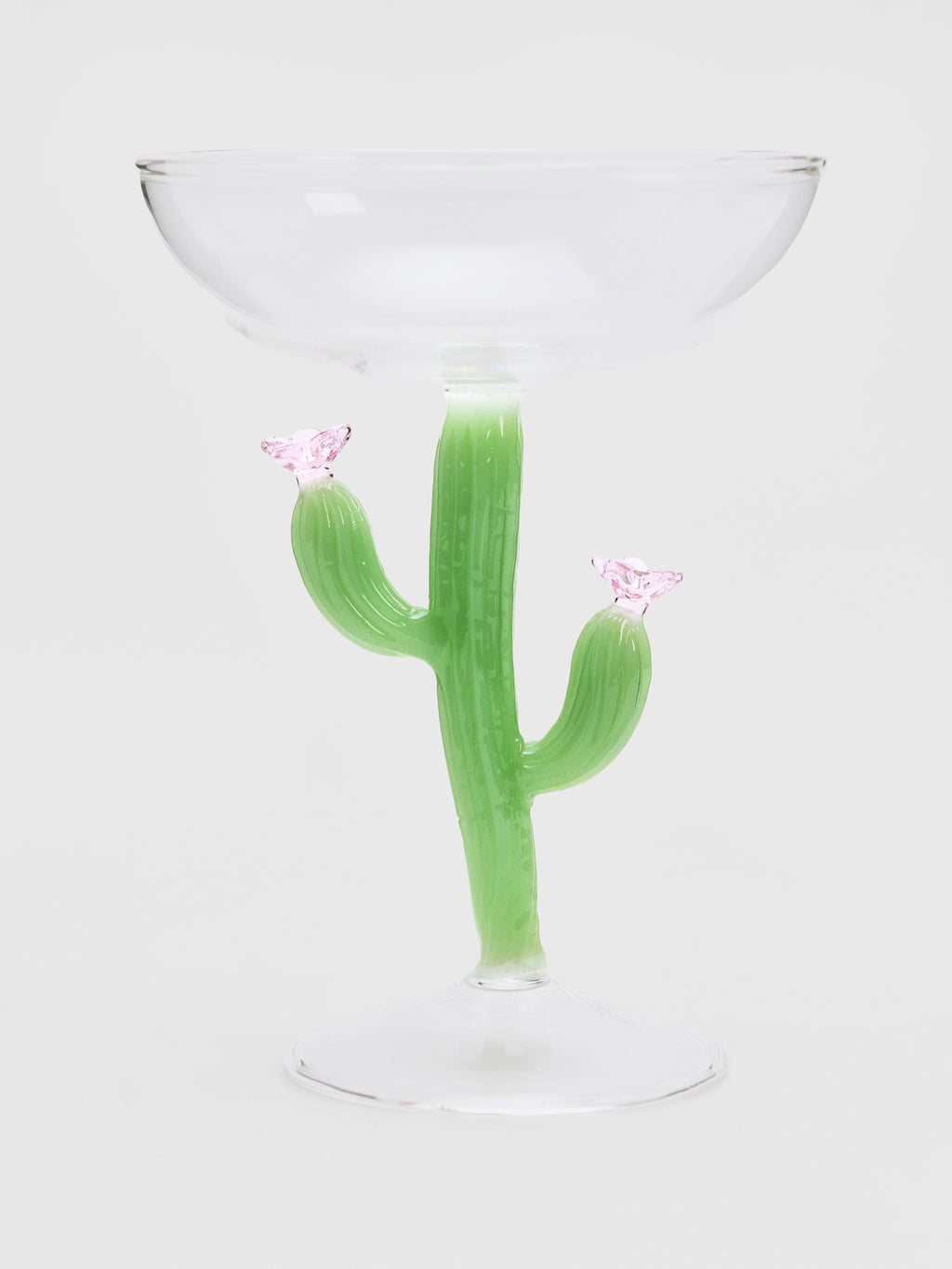 Ichendorf Desert Plants Champagne Bowl - Saint Bernard