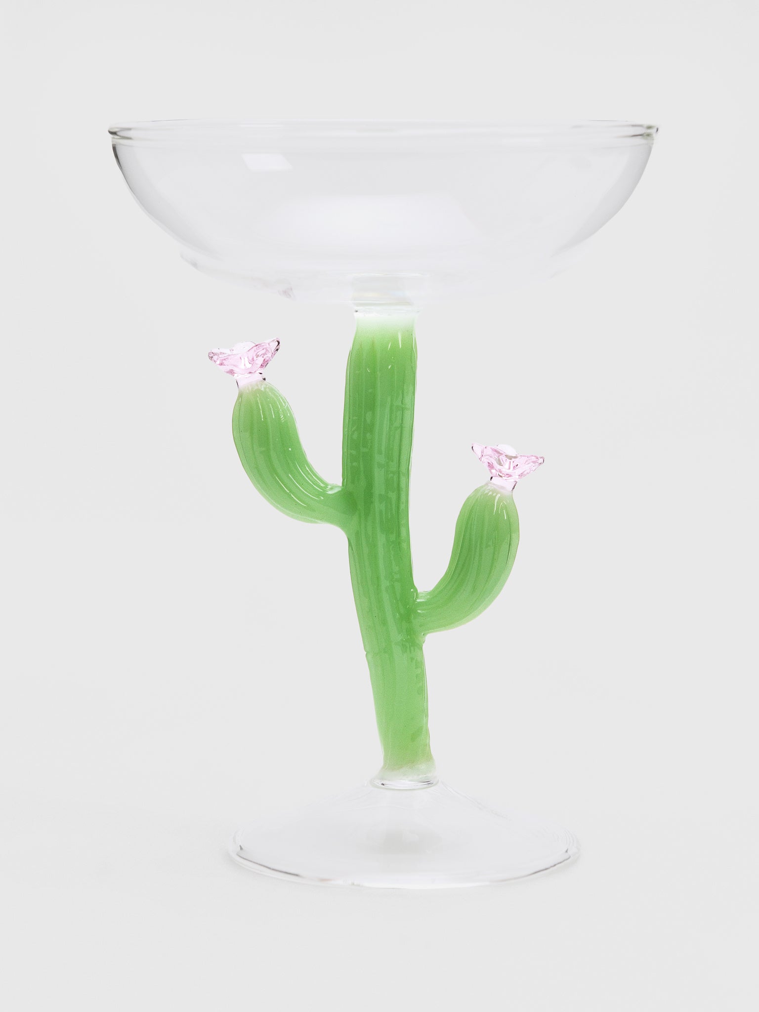 Ichendorf Desert Plants Champagne Bowl - Saint Bernard