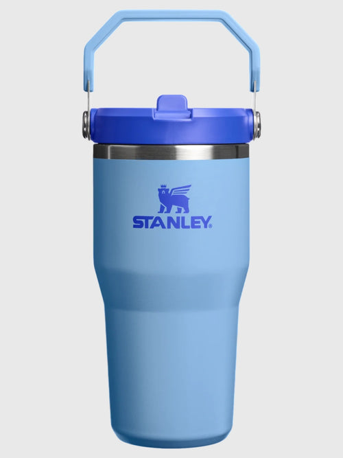 Stanley The IceFlow Flip Straw 2.0 20oz Tumbler