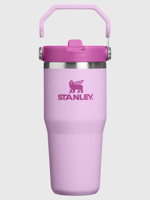 Stanley The IceFlow Flip Straw 2.0 20oz Tumbler