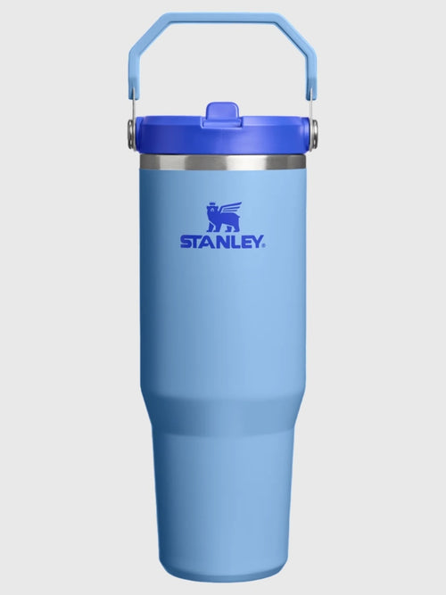 Stanley The IceFlow Flip Straw 2.0 30oz Tumbler