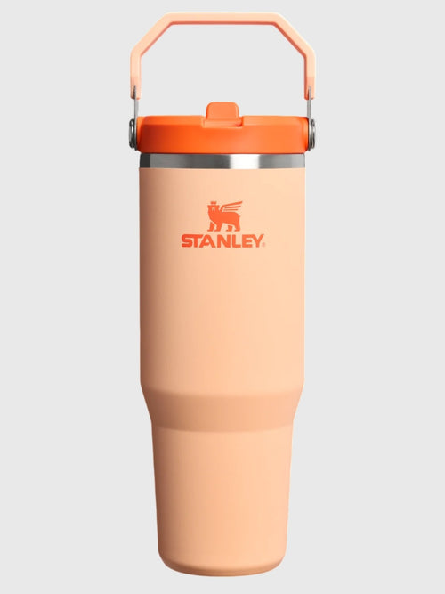 Stanley The IceFlow Flip Straw 2.0 30oz Tumbler
