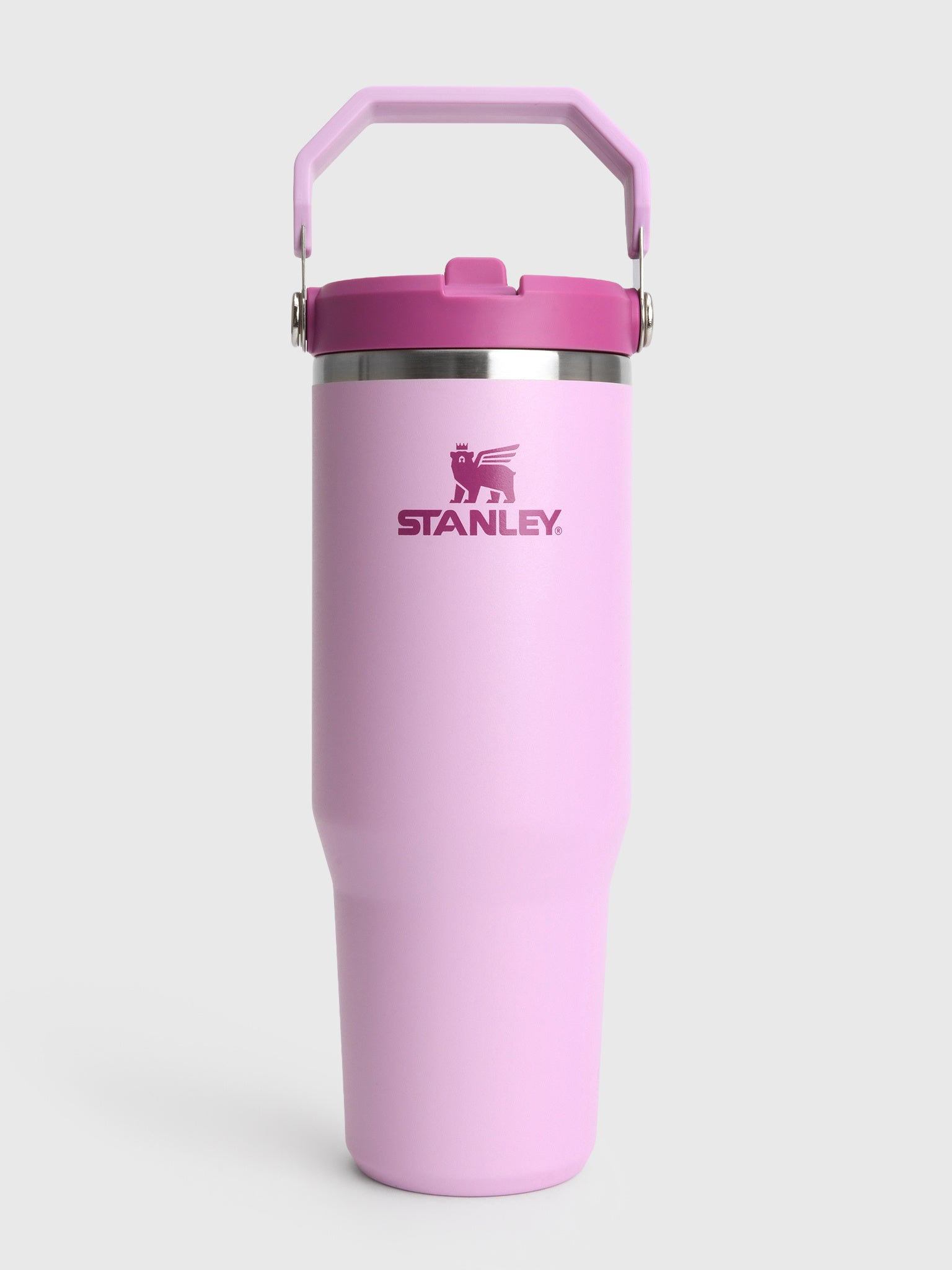 Stanley The IceFlow Flip Straw 2.0 30oz Tumbler - Saint Bernard