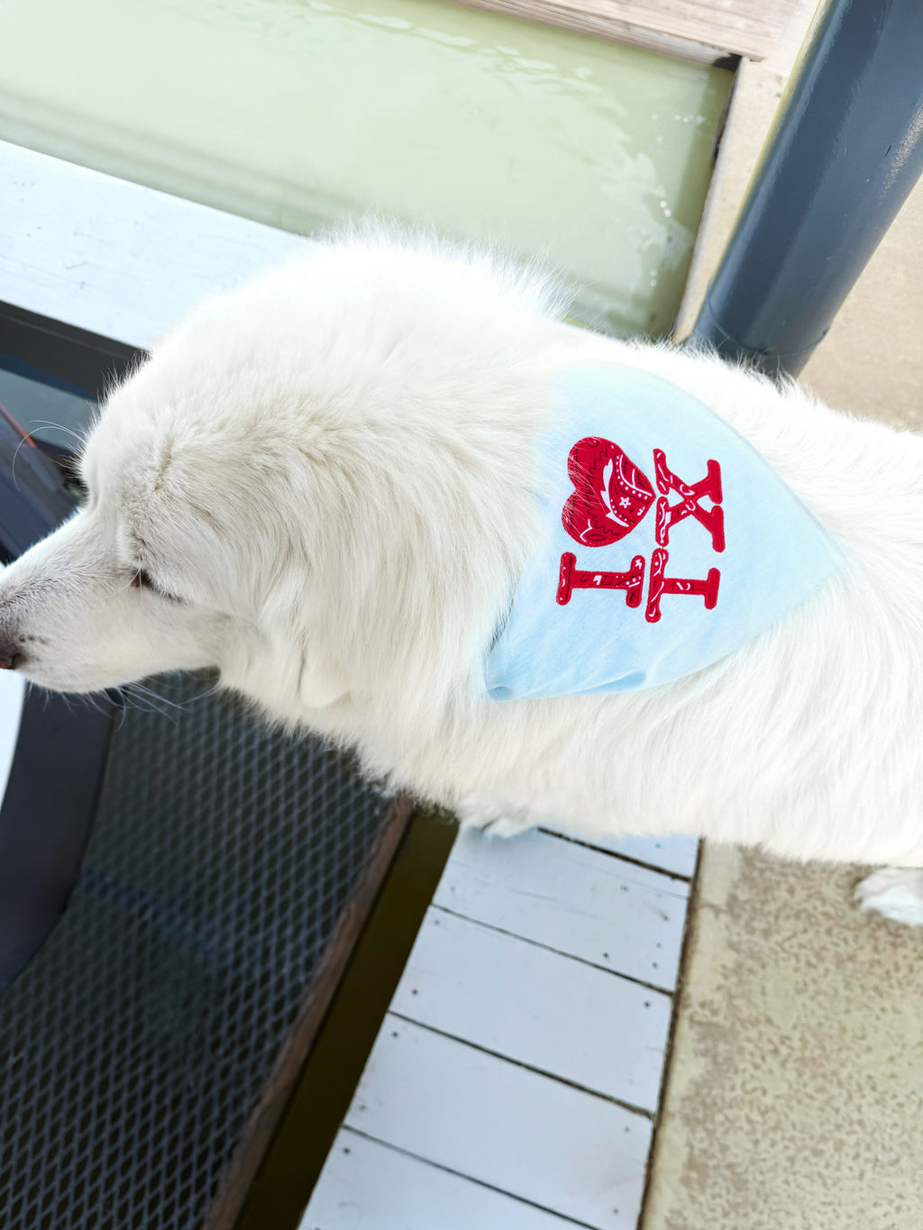 Stitched In The City I Heart TX Dog Bandana - Saint Bernard