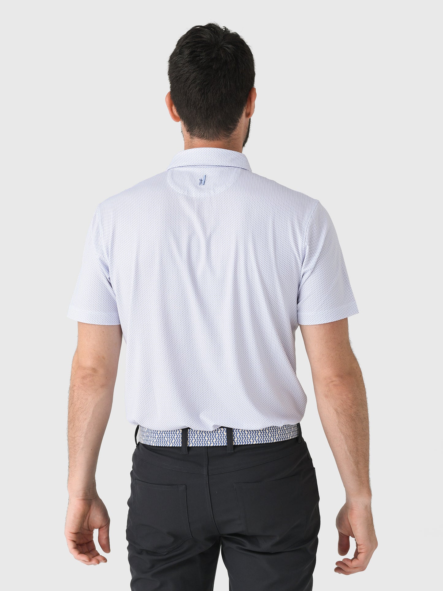 JMPO101730xVERBENA-alt3