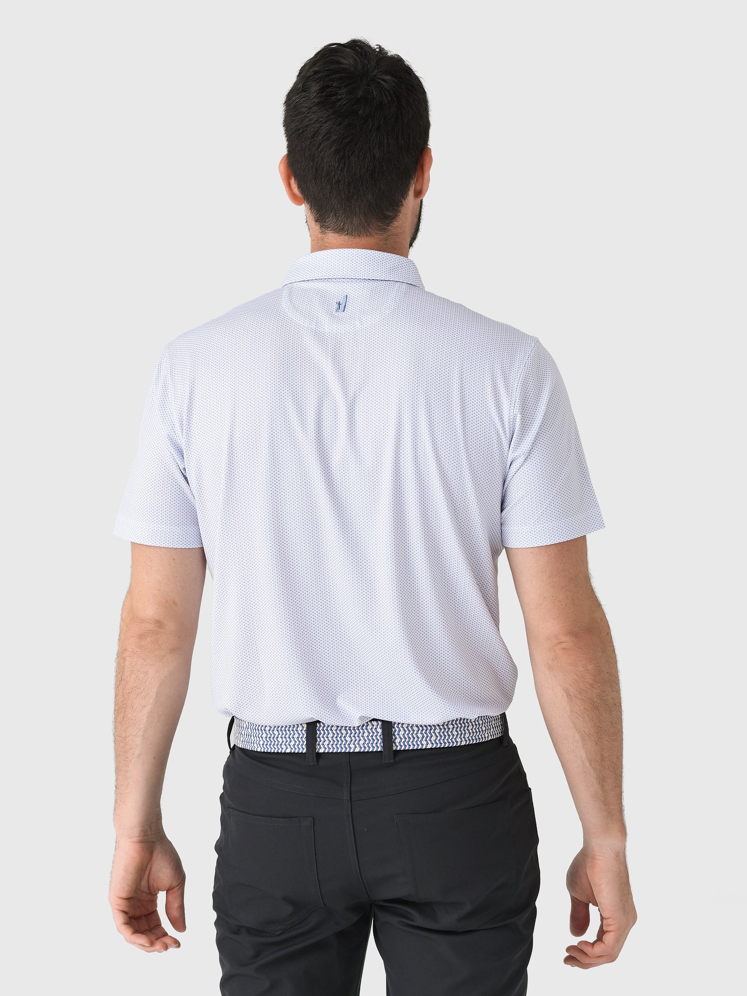 JMPO101730xVERBENA-alt3