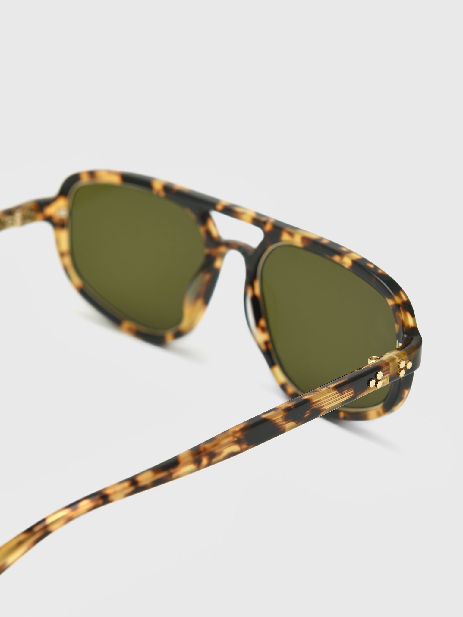 Krewe Jordan Sunglasses - Saint Bernard