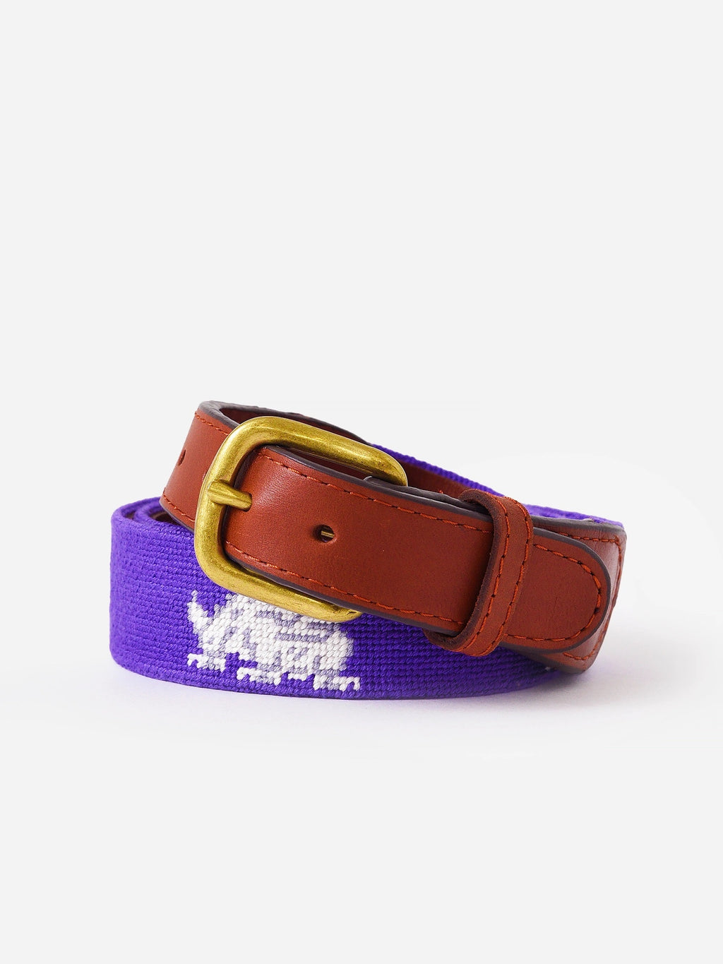 Smathers + Branson Boys' Texas Christian University Needlepoint Belt - Saint Bernard