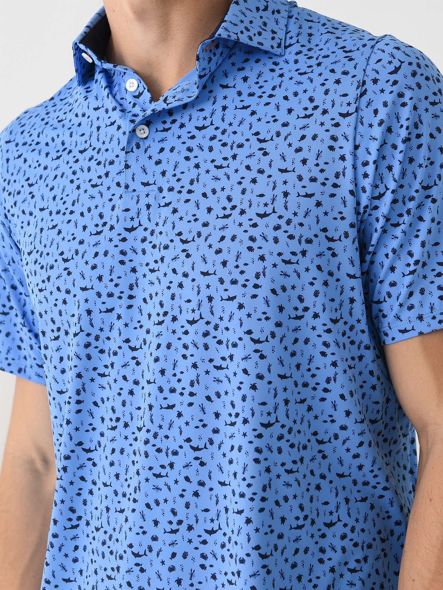 K00499xCERULEANATLANTABLUE-alt4