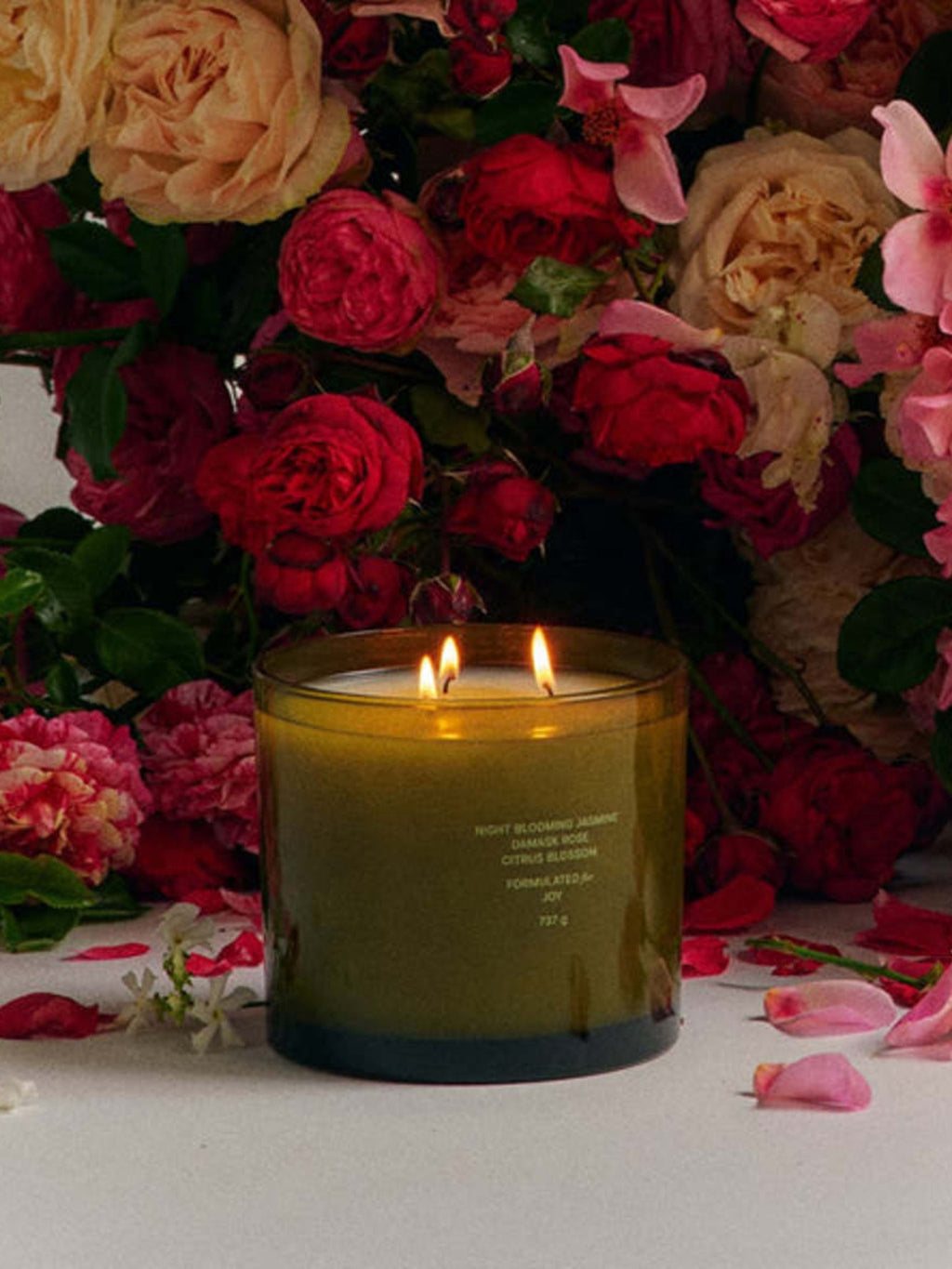 KI00124xEUPHORIA-alt1