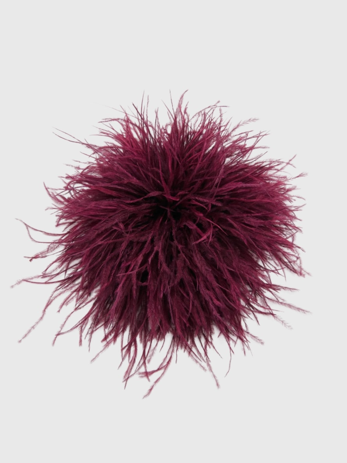 Essentiel Antwerp Kurdy Ostrich Feather Brooch - Saint Bernard