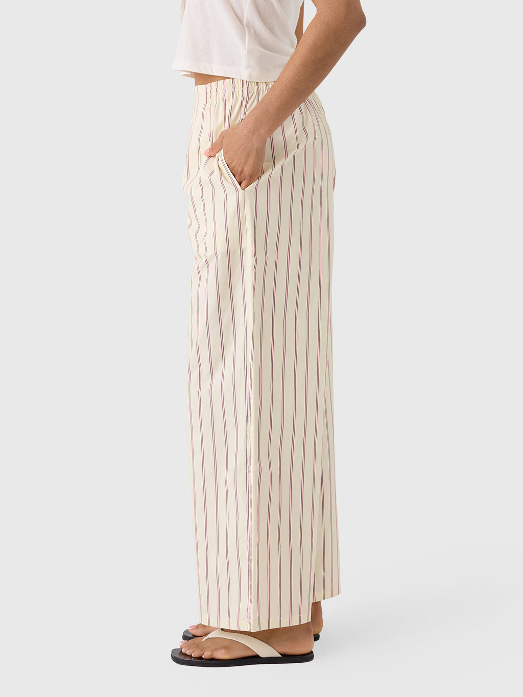 Asher Women's Clara Pant - Saint Bernard