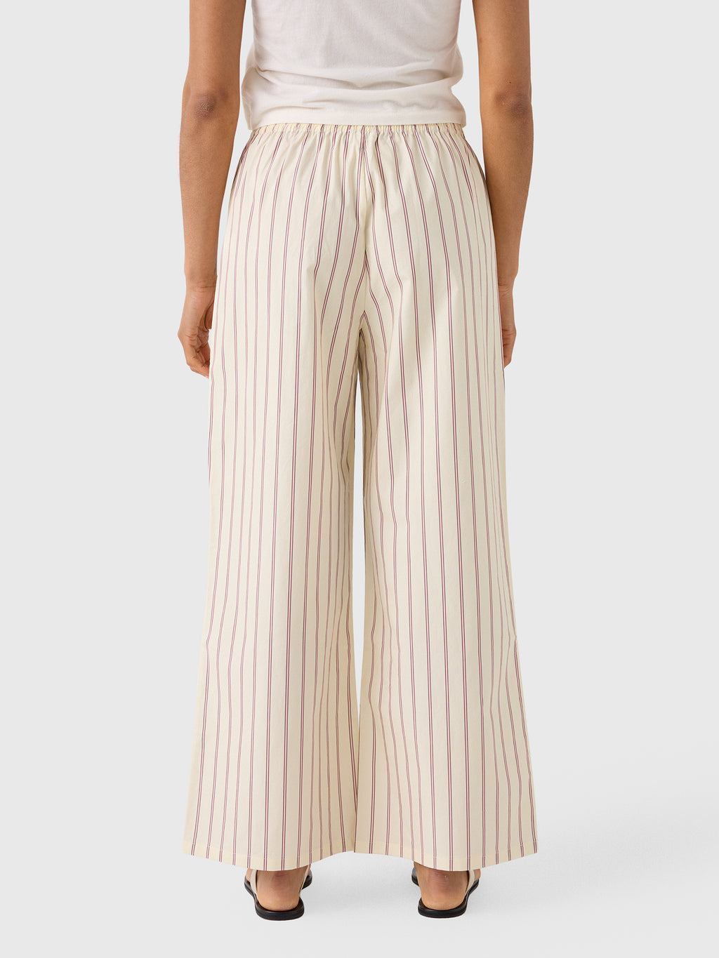 Asher Women's Clara Pant - Saint Bernard
