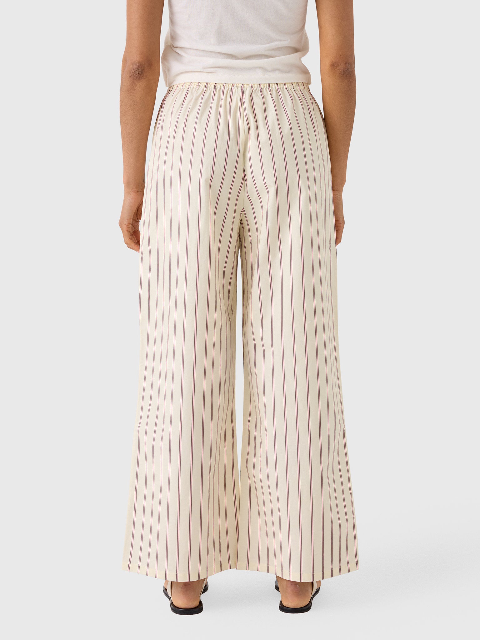 Asher Women's Clara Pant - Saint Bernard