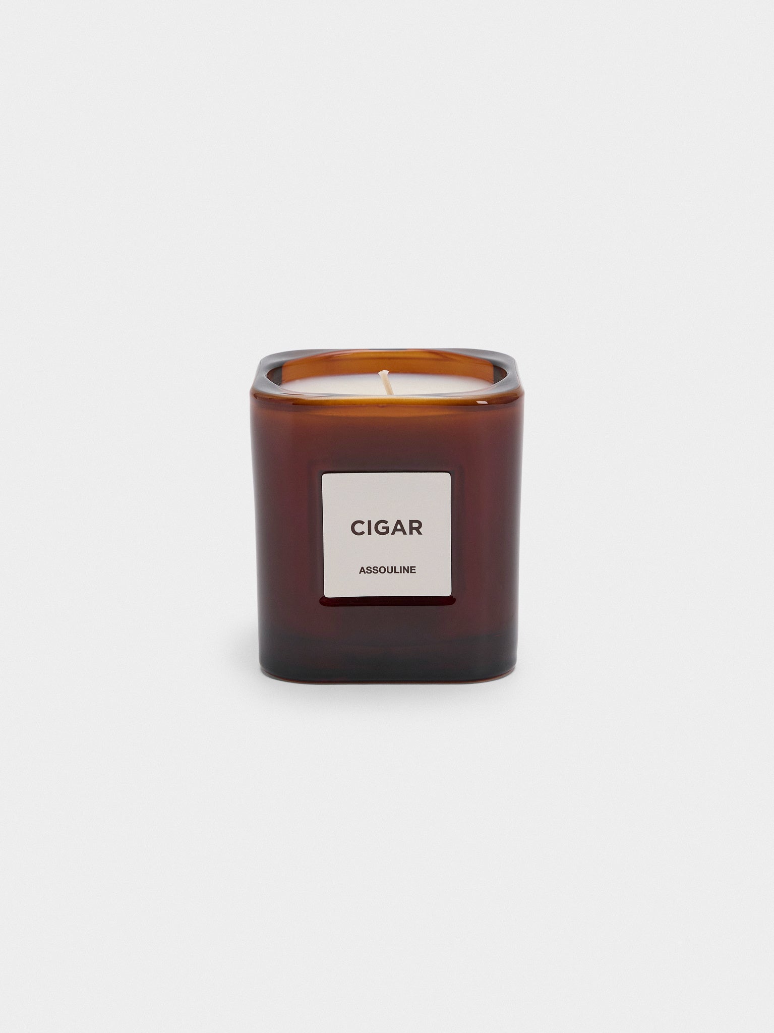 Assouline Library Candle - Saint Bernard