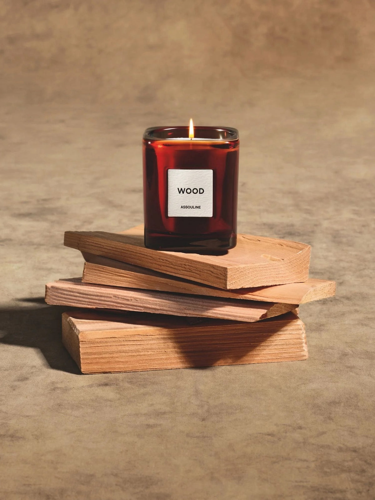 Assouline Library Candle - Saint Bernard