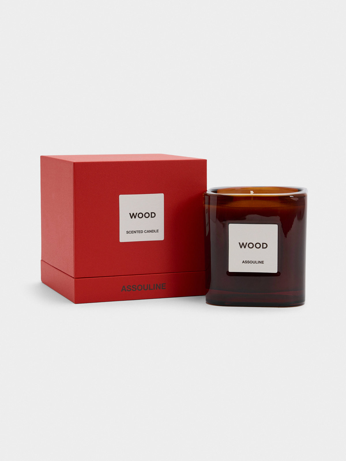 Assouline Library Candle - Saint Bernard