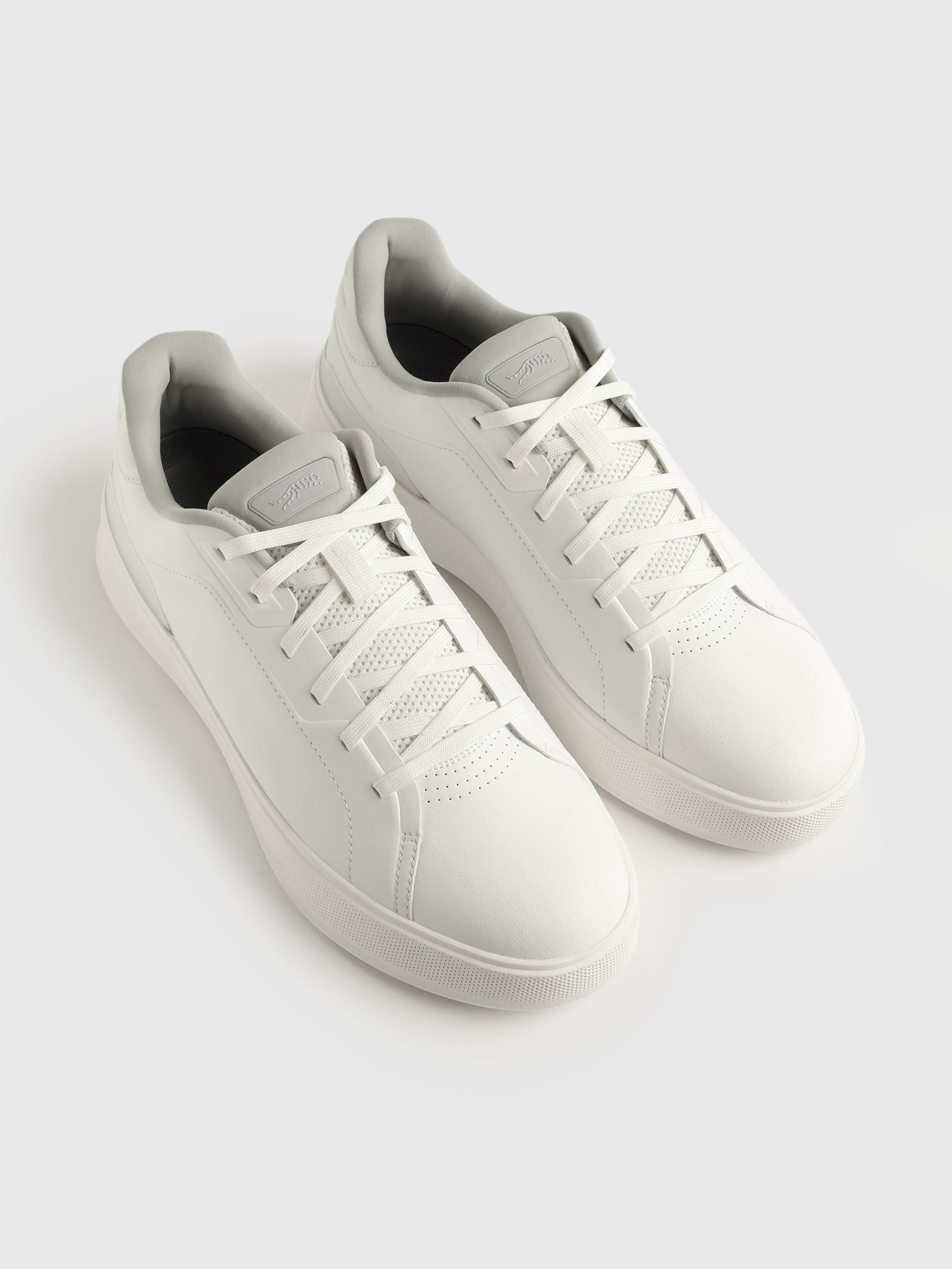 Sun Day Red Men's Osprey Golf Shoe - Saint Bernard