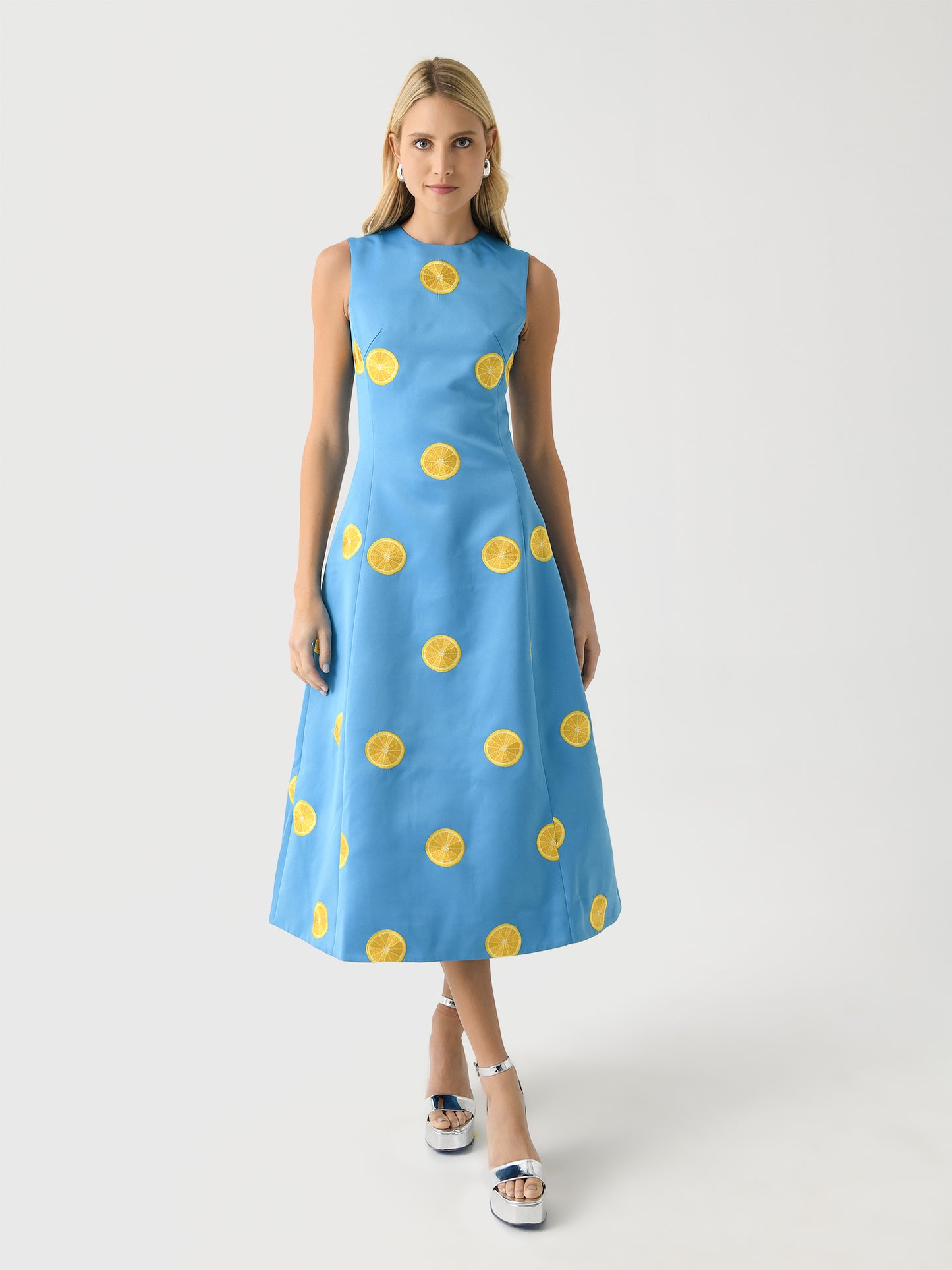 Leo Lin Women's Cleo Embroidered Sleeveless Midi Dress - Saint Bernard