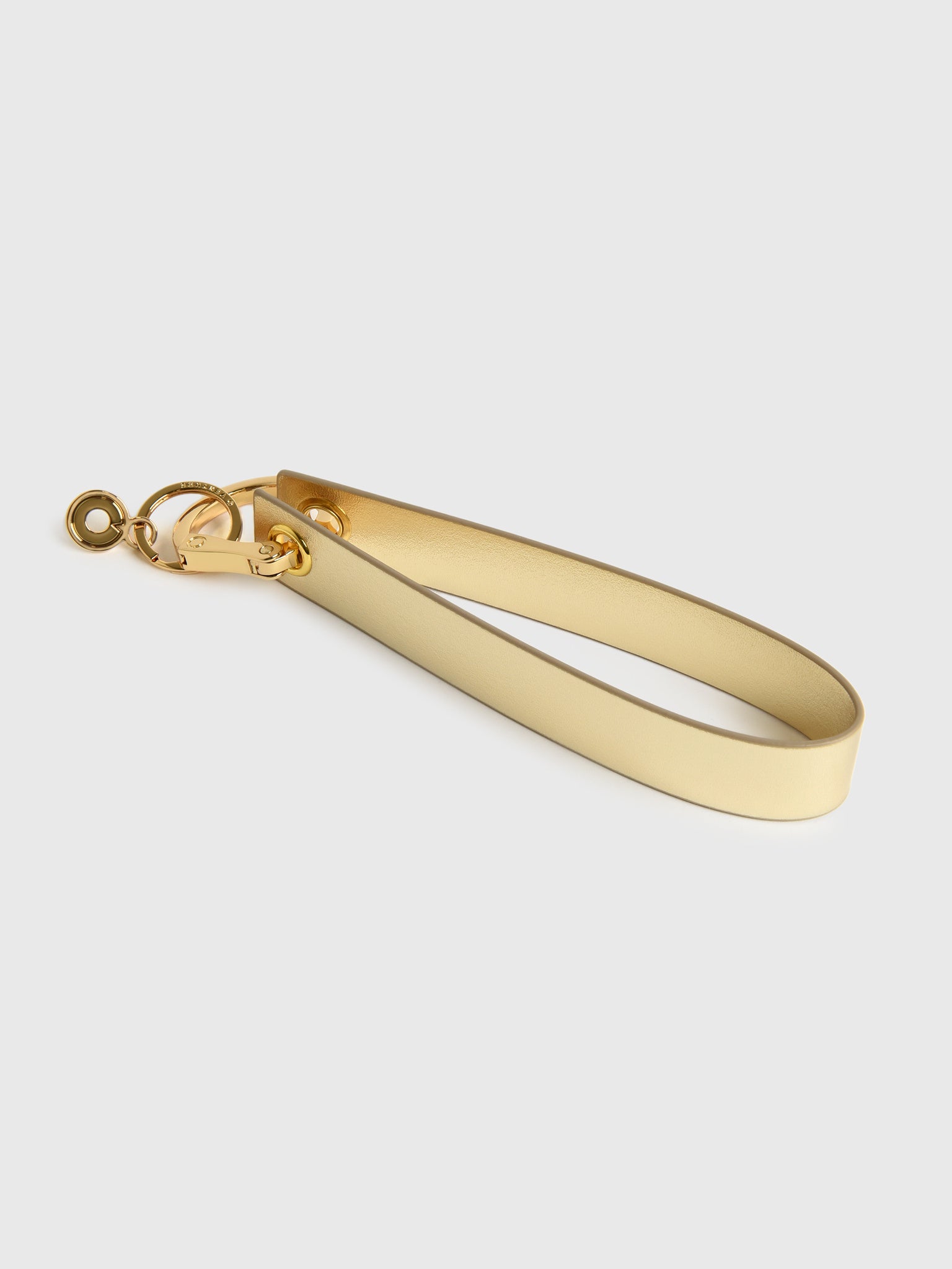 O-Venture Wristlet Keychain - Saint Bernard