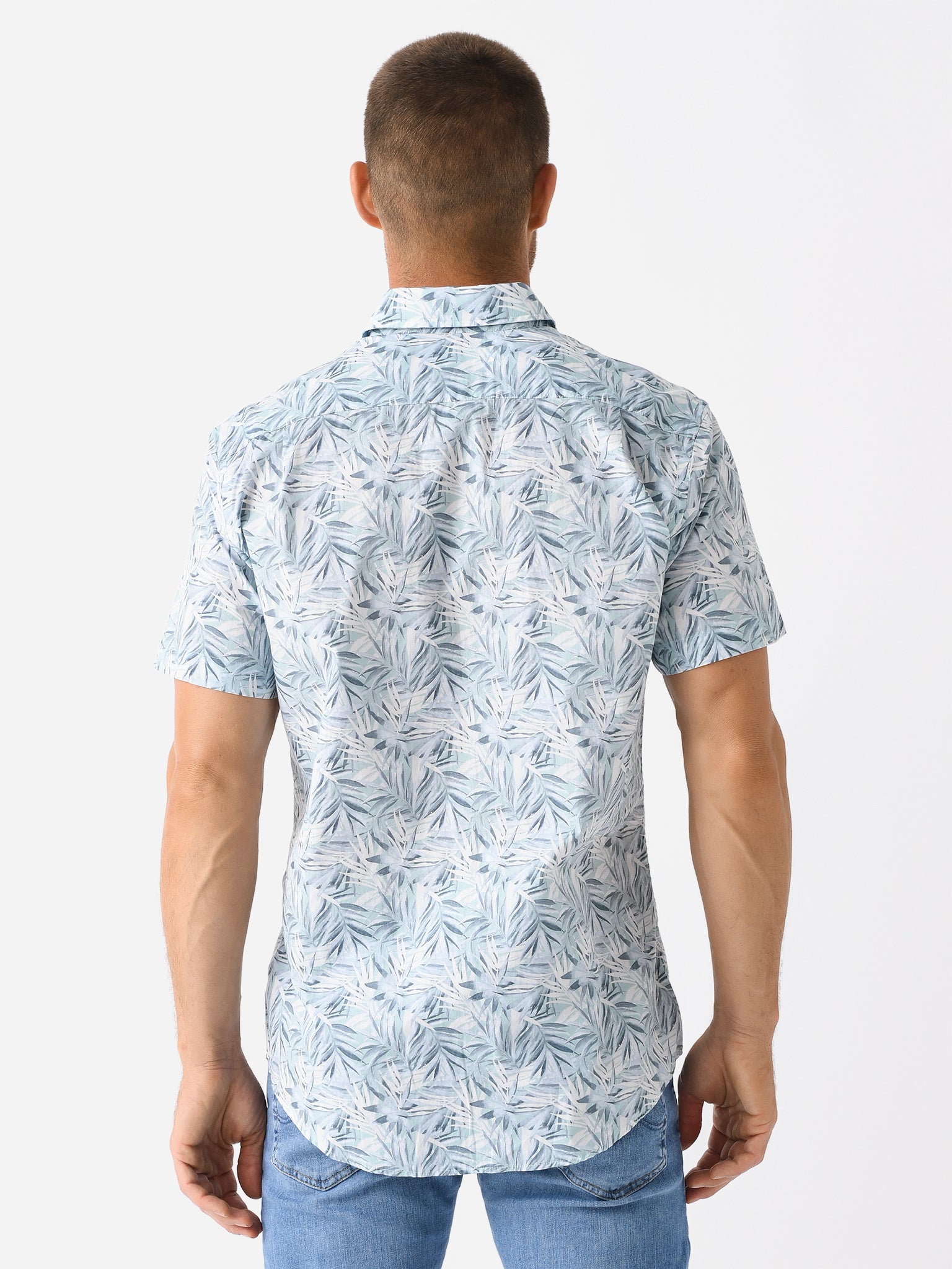 LP6255xSKY-alt3