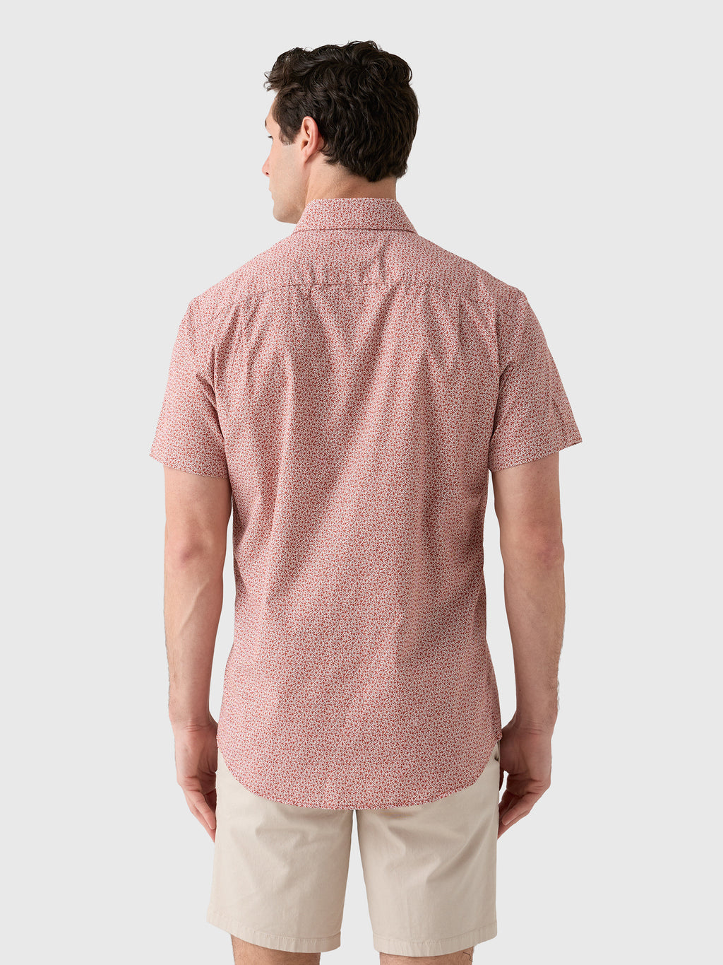Rodd And Gunn Men's Collingwood Sports Fit Shirt - Saint Bernard