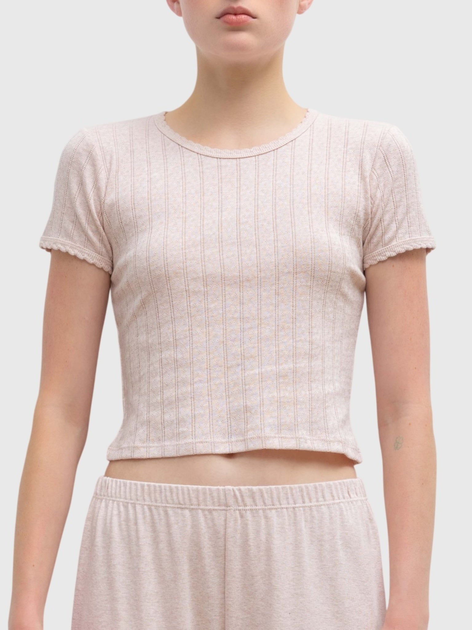 Leset Women's Pointelle Baby Tee - Saint Bernard
