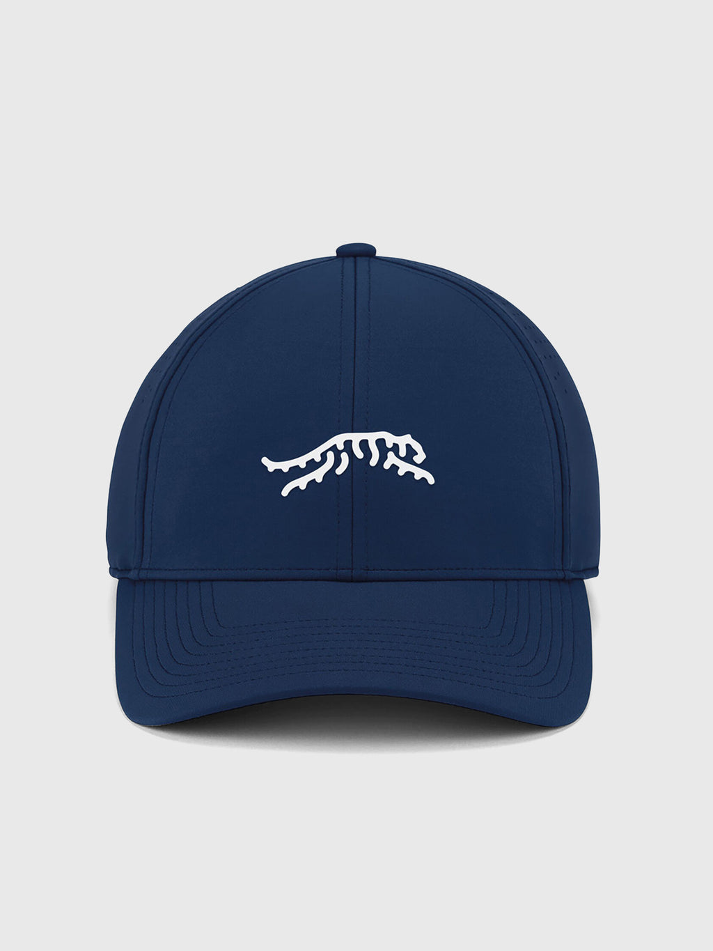 Sun Day Red Cypress Tour Snapback Hat - Saint Bernard