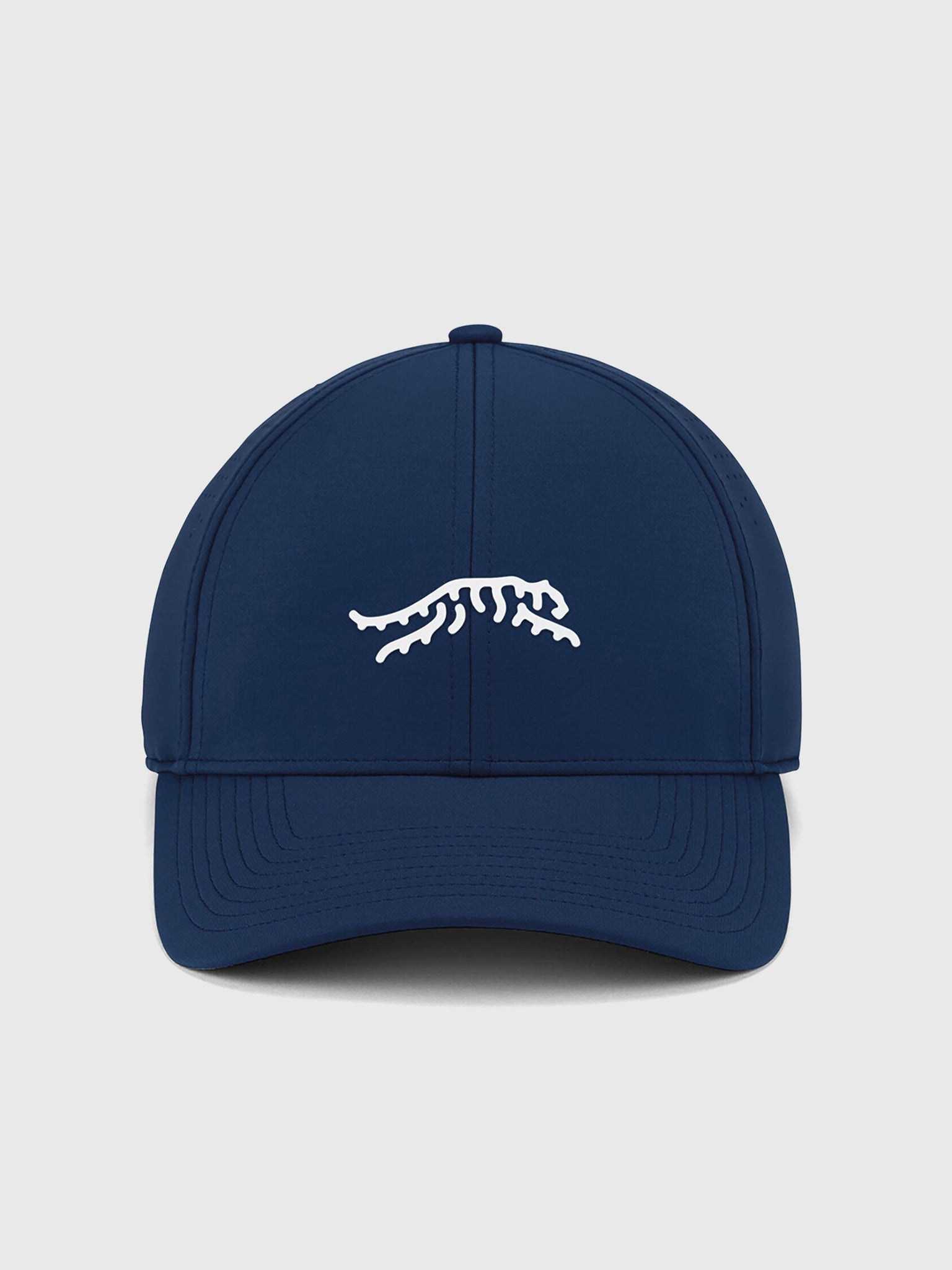 Sun Day Red Cypress Tour Snapback Hat - Saint Bernard