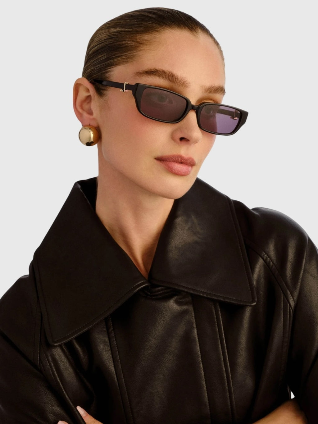 THE PHOEBE - Saint Bernard