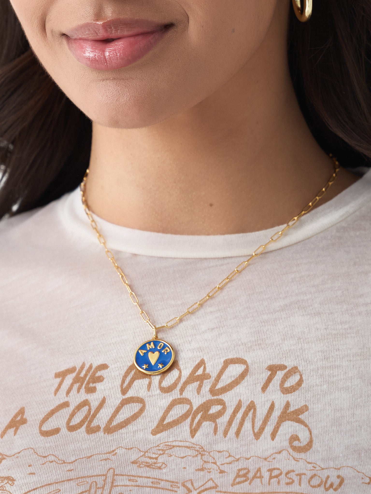 Hart Love & Fear Coin Necklace - Saint Bernard