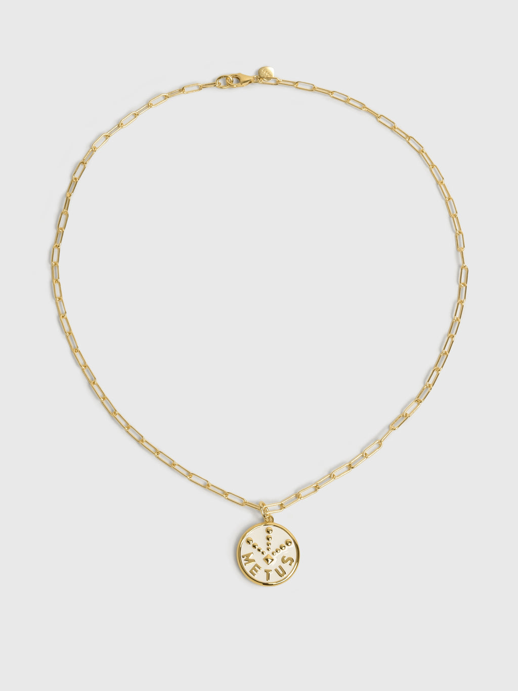 Hart Love & Fear Coin Necklace - Saint Bernard