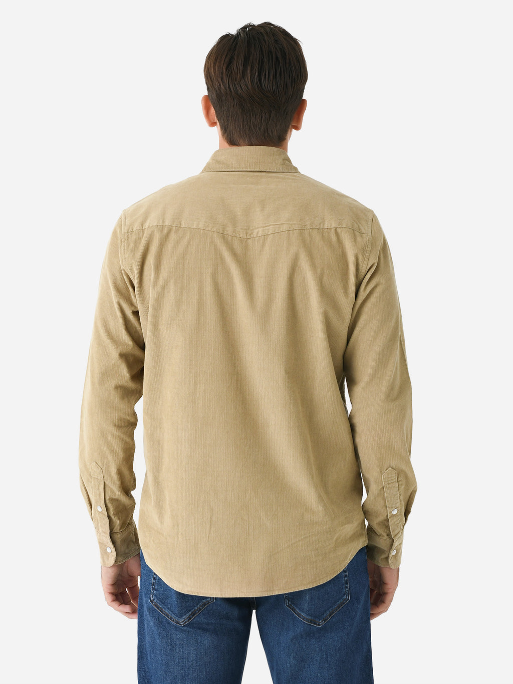 M-LW331-TWxTWILL-alt3