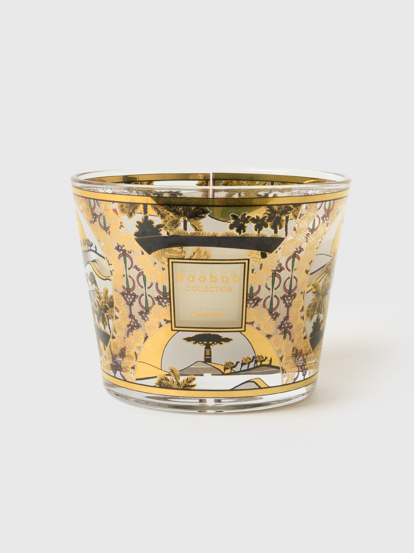 Baobab Collection Max 10 Candle - Saint Bernard