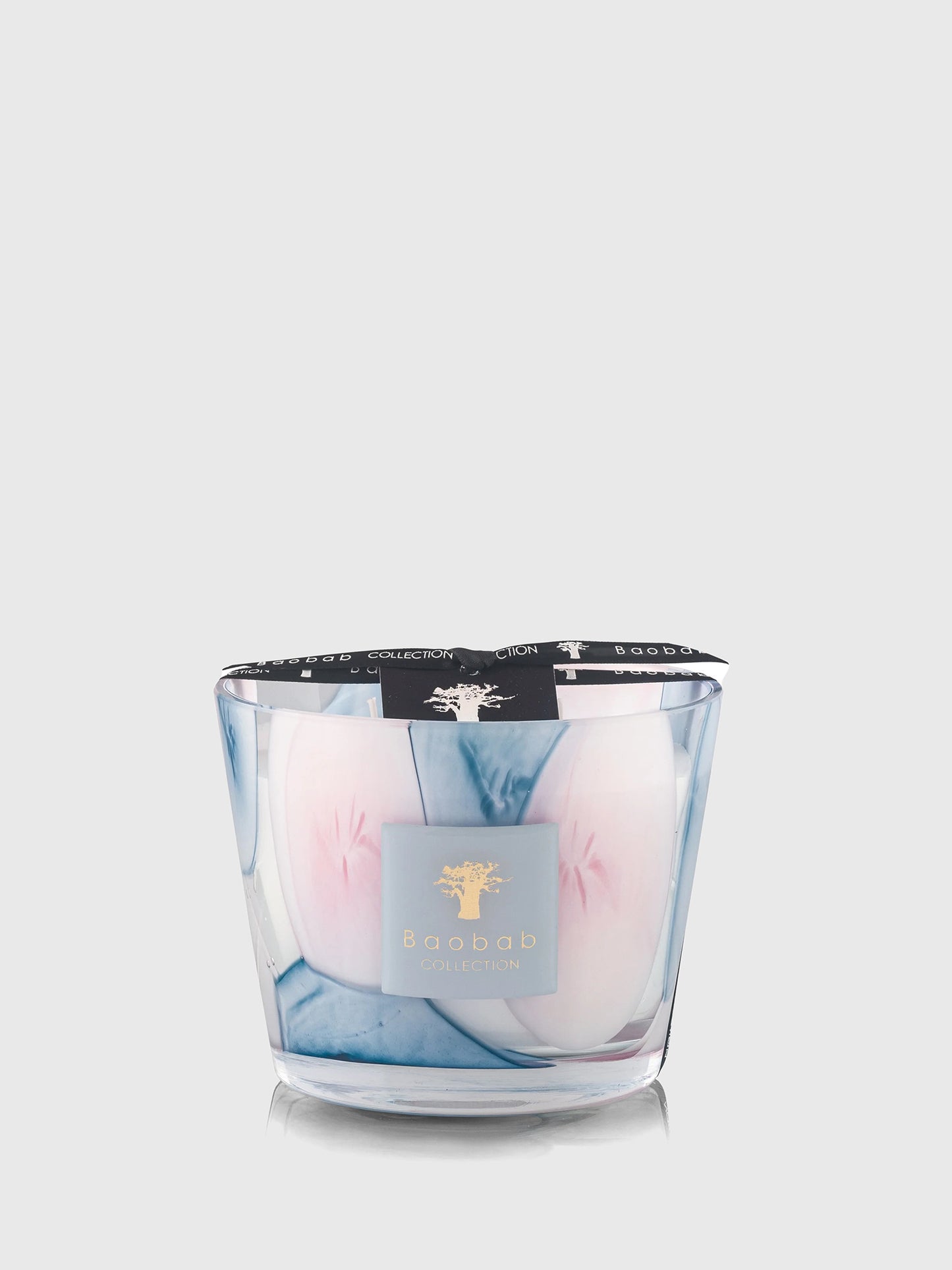 Baobab Collection Max 10 Candle - Saint Bernard