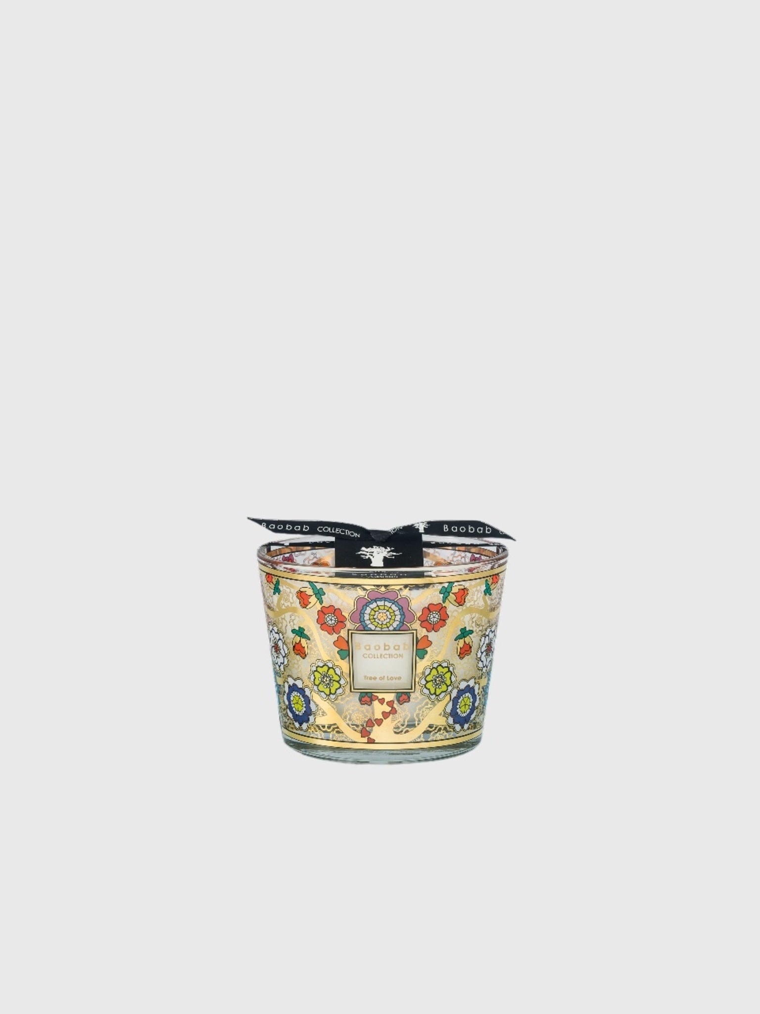 Baobab Collection Max 10 Candle - Saint Bernard