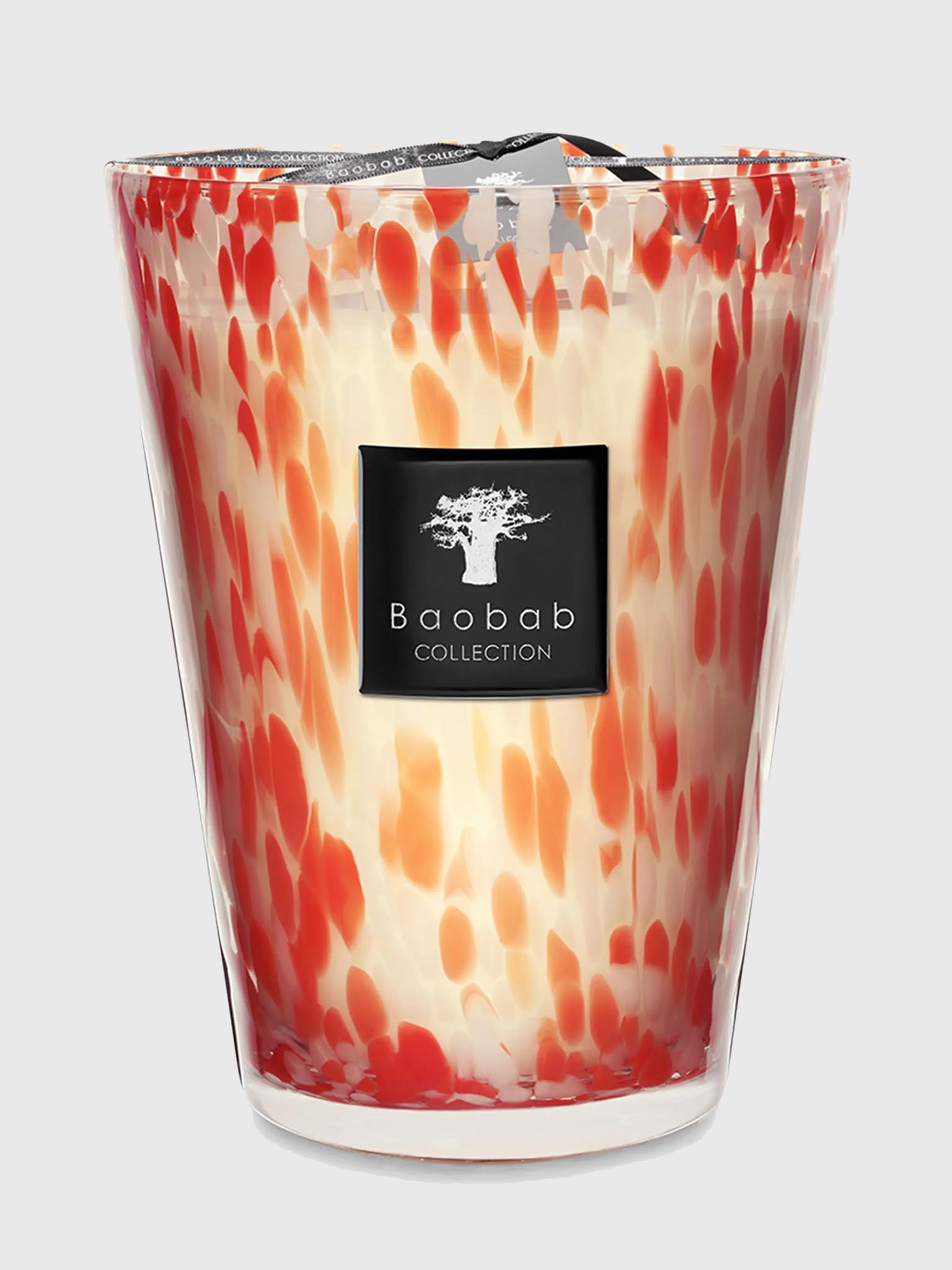 Baobab Collection Max 24 Candle - Saint Bernard