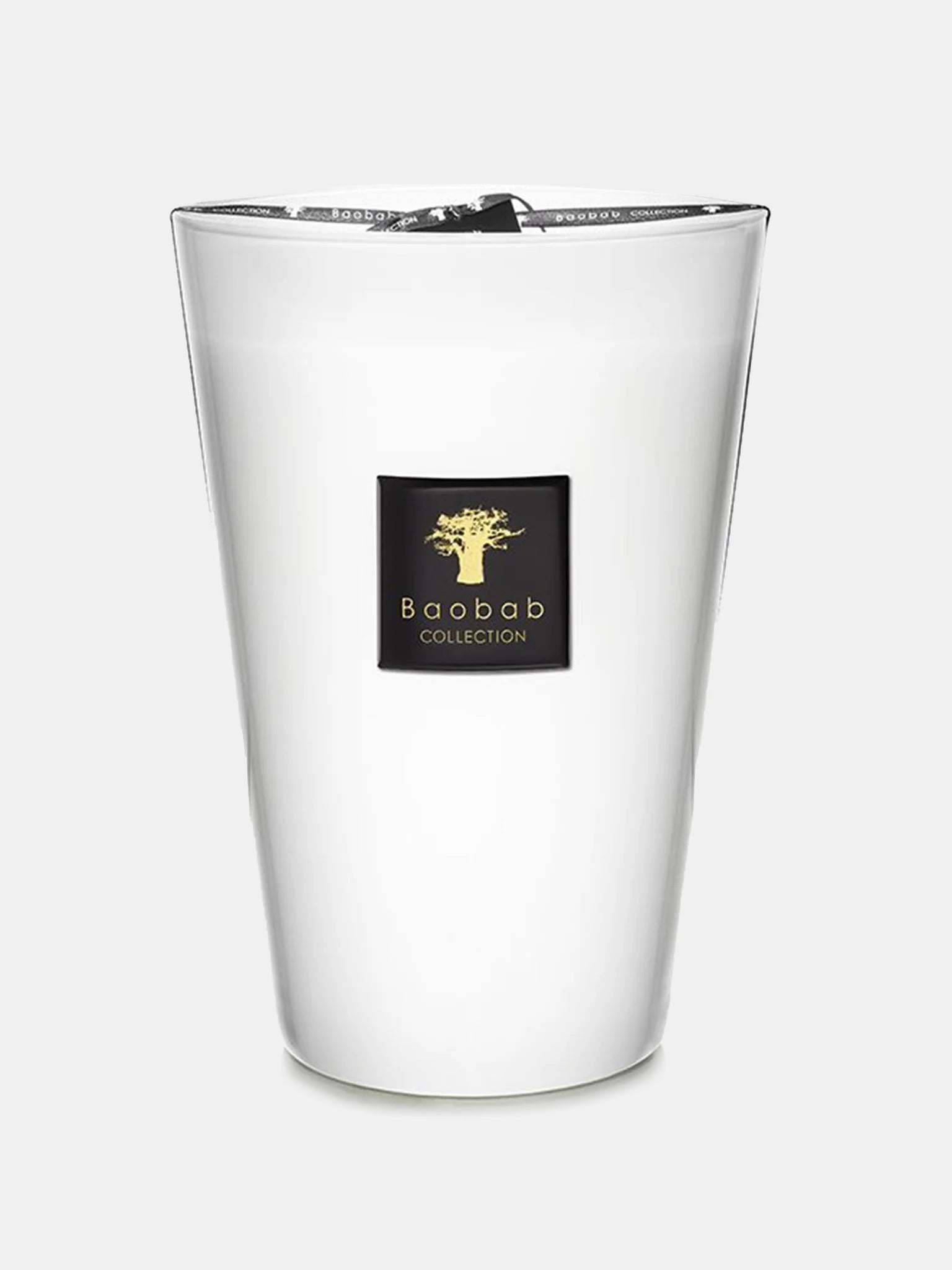 Baobab Collection Max 35 Candle - Saint Bernard