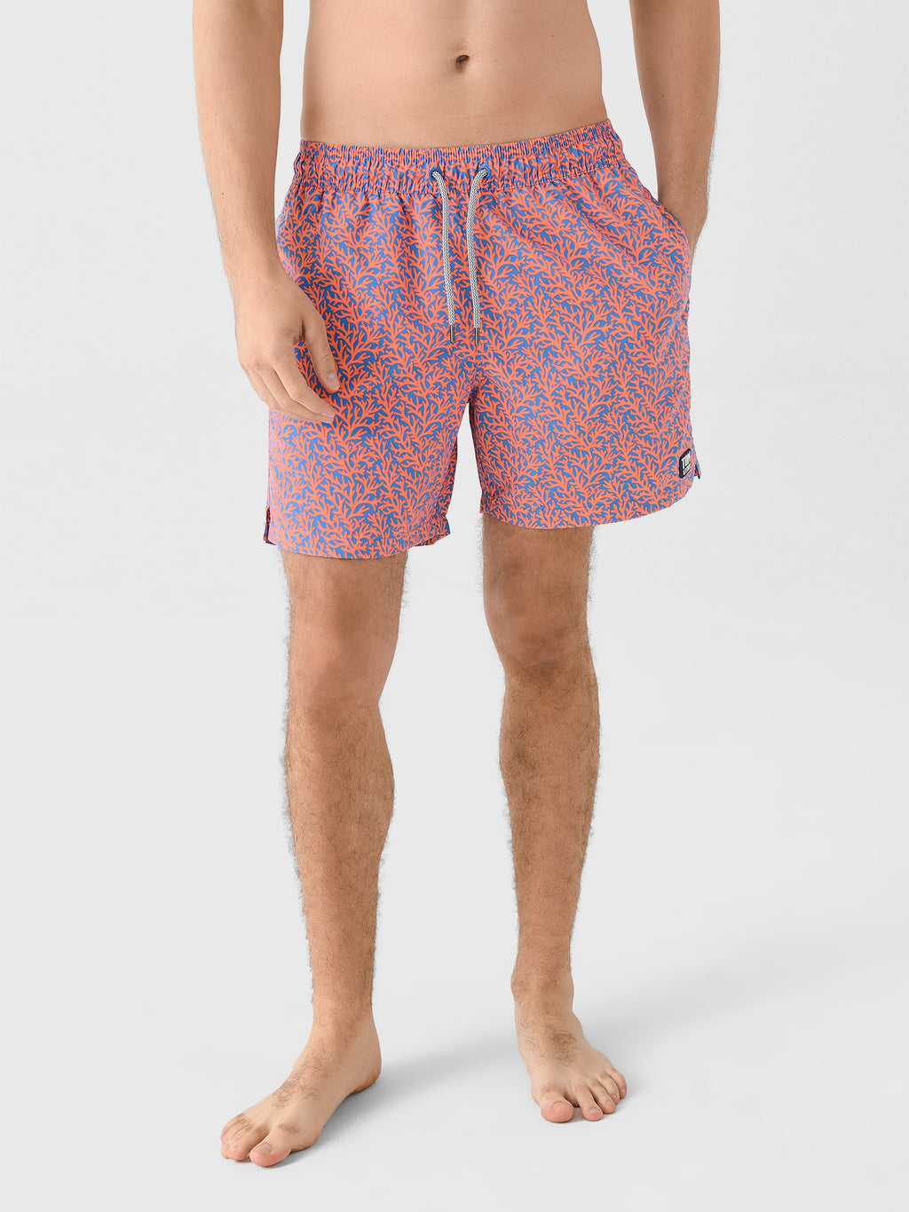 Tom + Teddy Men's Coral Swim Trunk - Saint Bernard