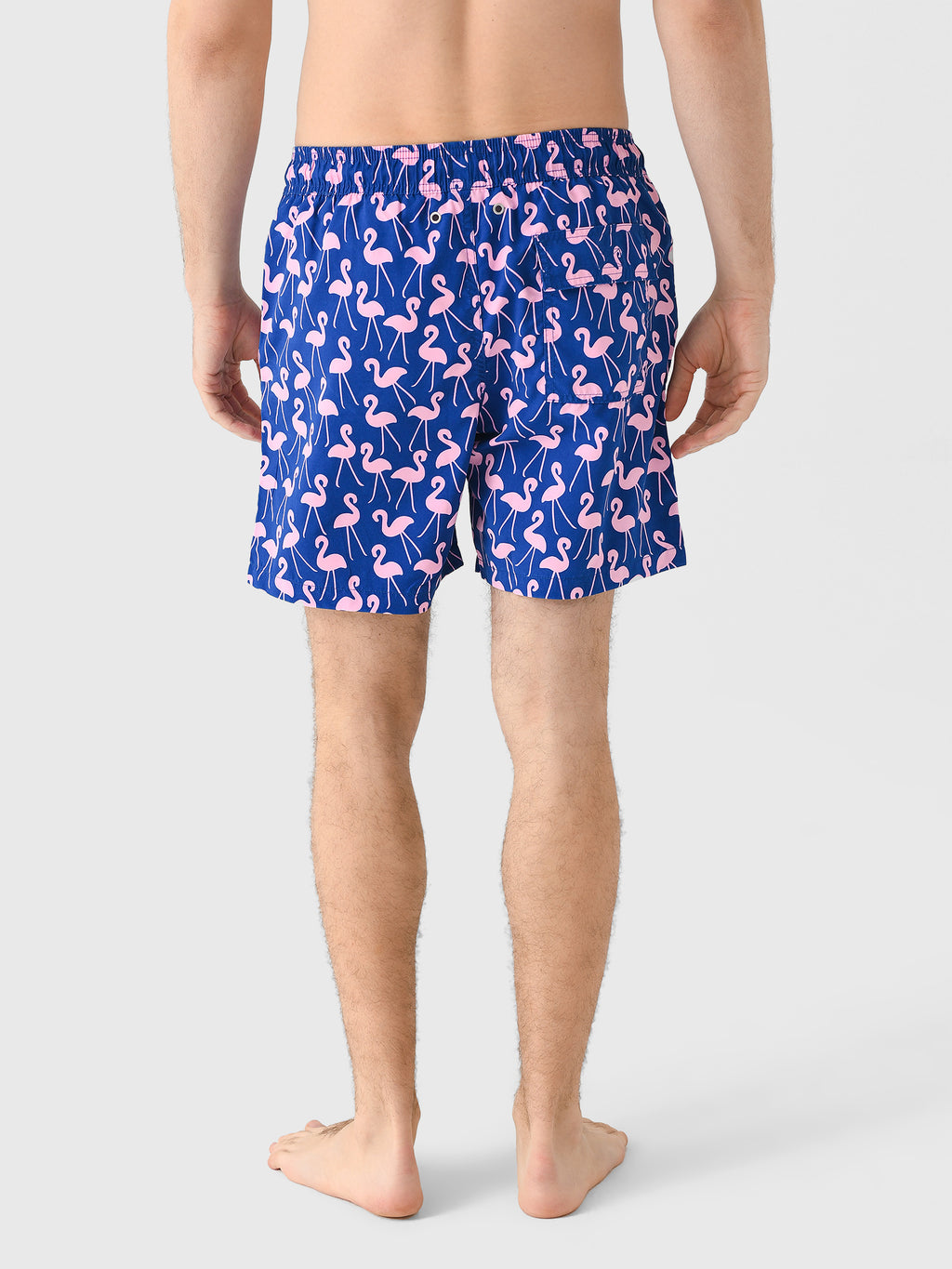 MENSFLAMINGOSxROSEBLUE-alt3