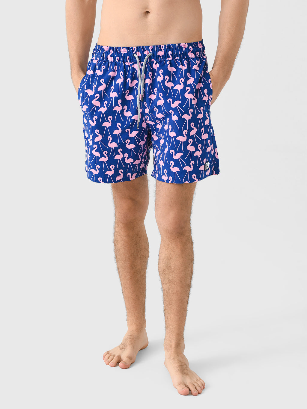 Tom & Teddy Flamingos Trunk - Saint Bernard