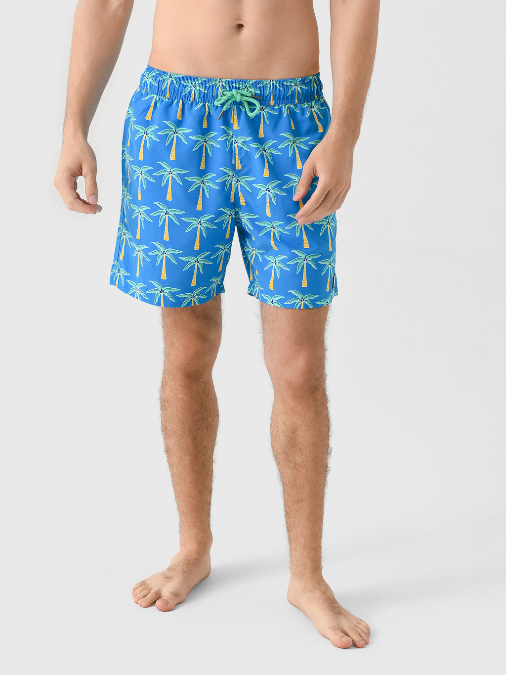 Tom + Teddy Men's Palms Swim Trunk - Saint Bernard