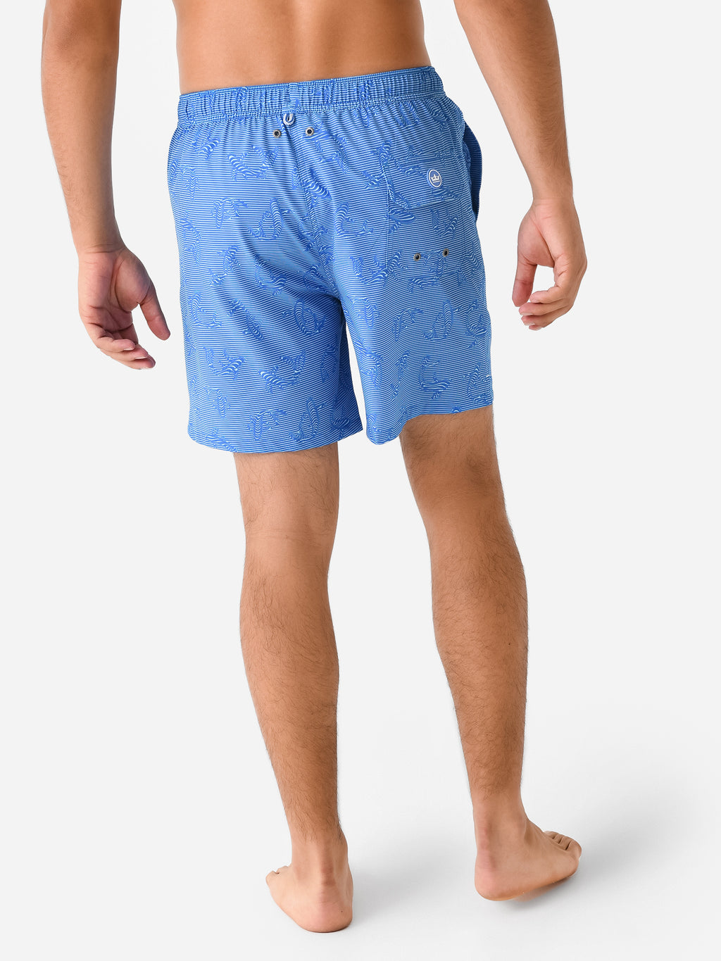MF23P03xCAPEBLUE-alt3